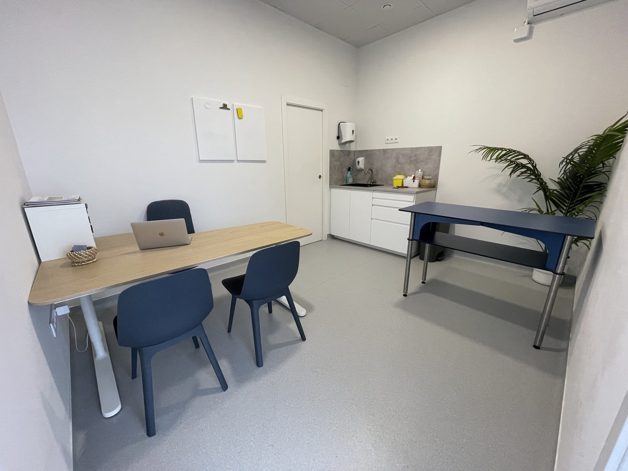 Consulta-canina-trufa