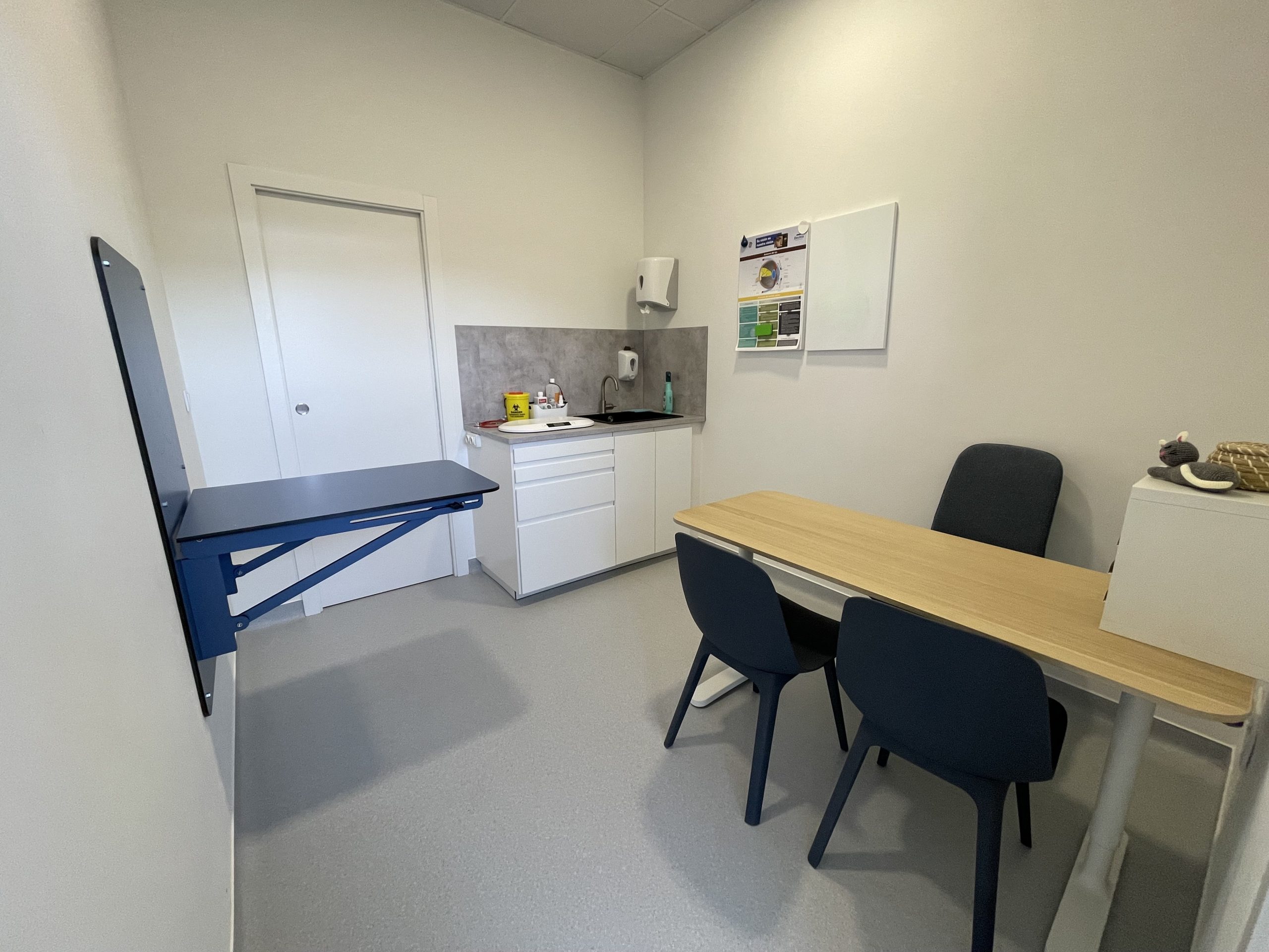 Consulta-felina-trufa