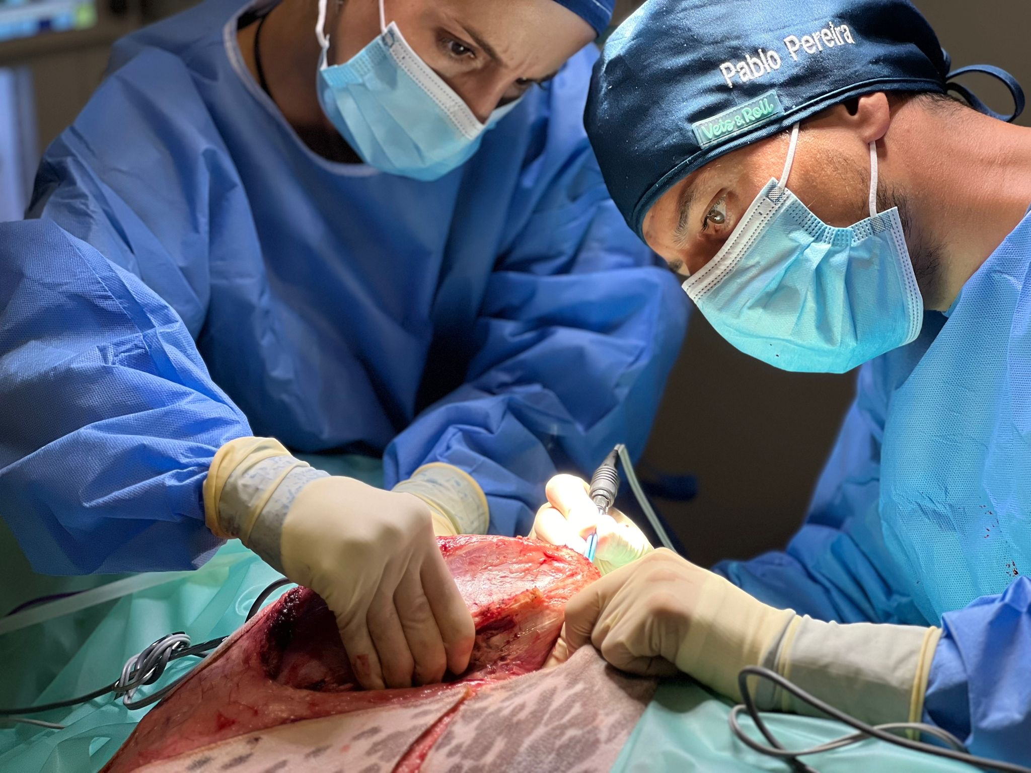 cirugia-general Perro al que se le está realizando una ecografía en una consulta veterinaria