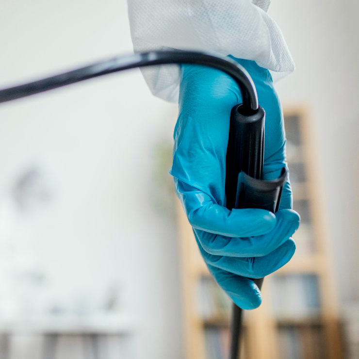 artroscopia Perro al que se le está realizando una ecografía en una consulta veterinaria