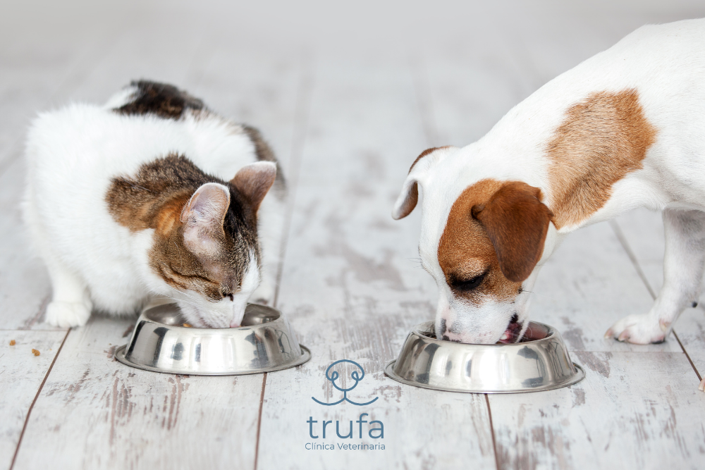 Diseño sin título (14)