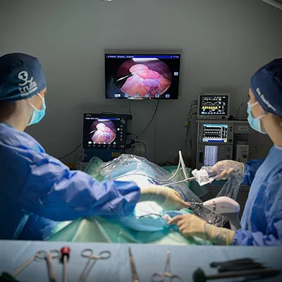 laparoscopia-toracoscopia Perro al que se le está realizando una ecografía en una consulta veterinaria