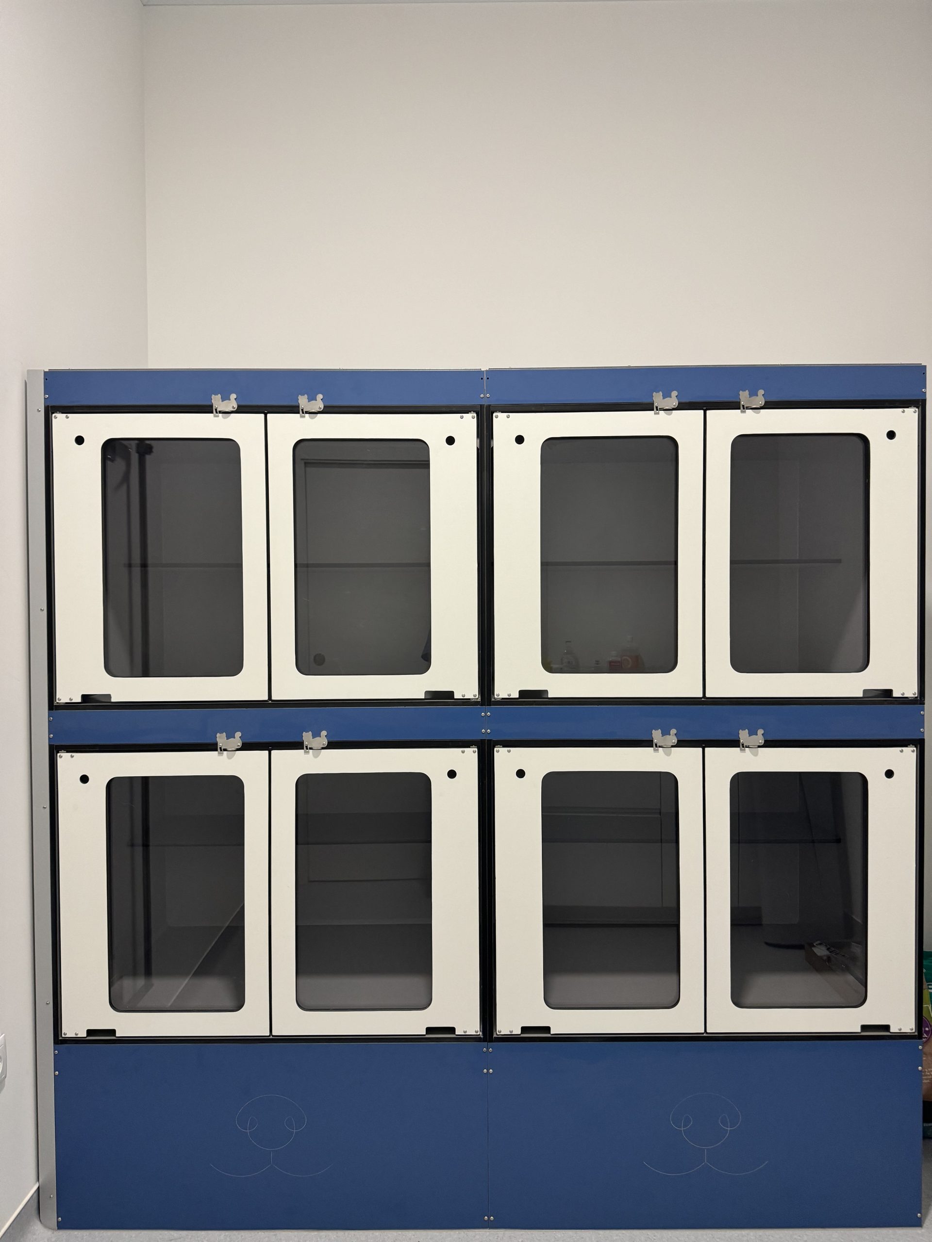 hospitalizacion-gatos-l'eliana