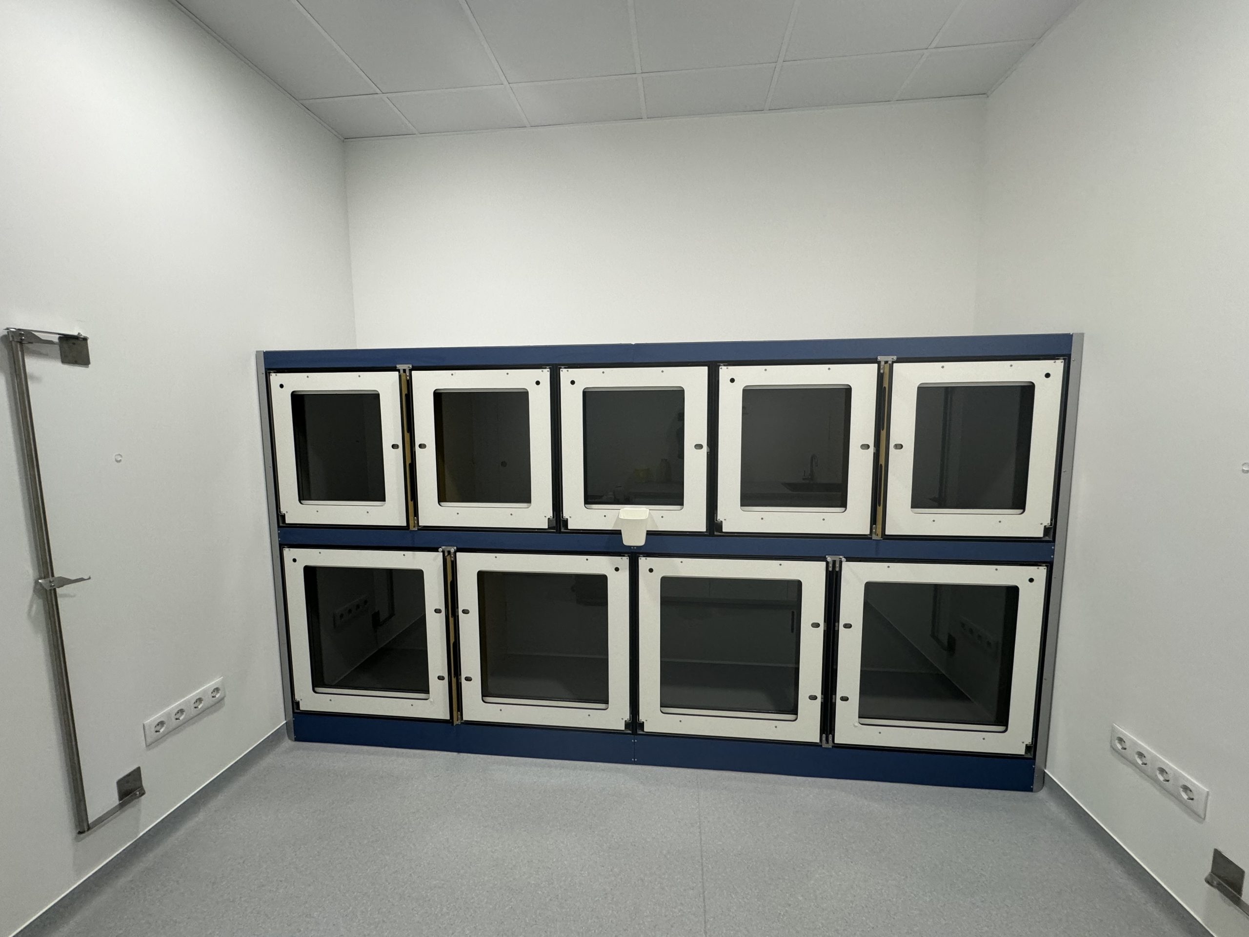 hospitalizacion-perros-l'eliana