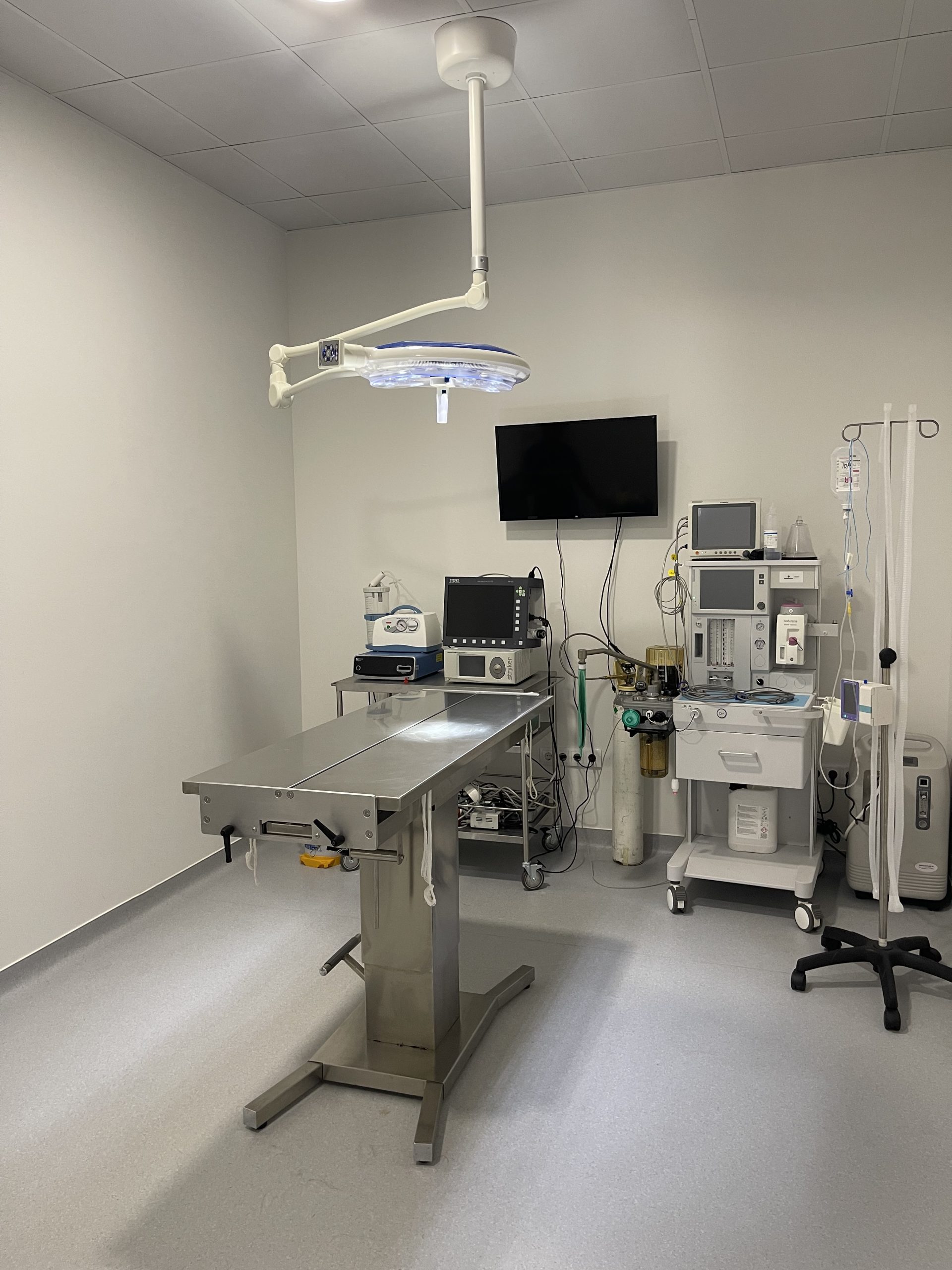 quirofano-trufa-l'eliana